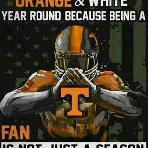 Meet your Posher, Owen